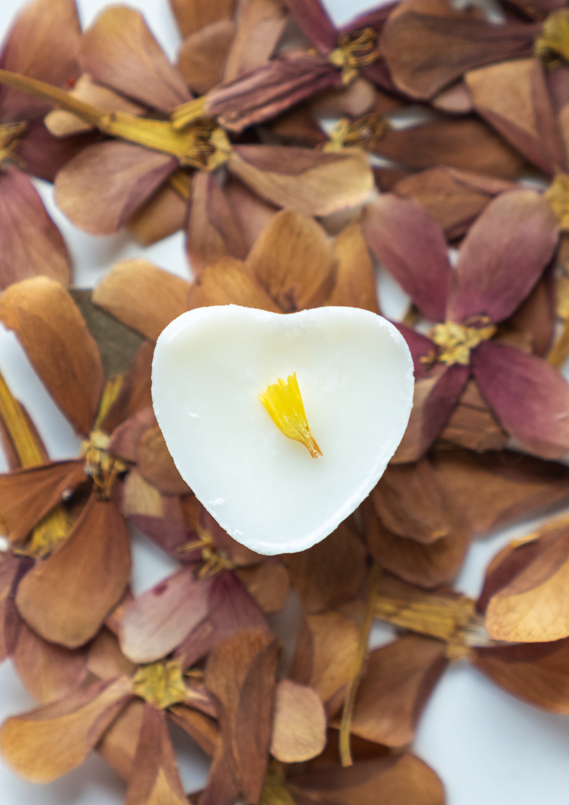 soy melts or wax tarts in late summer fragrance