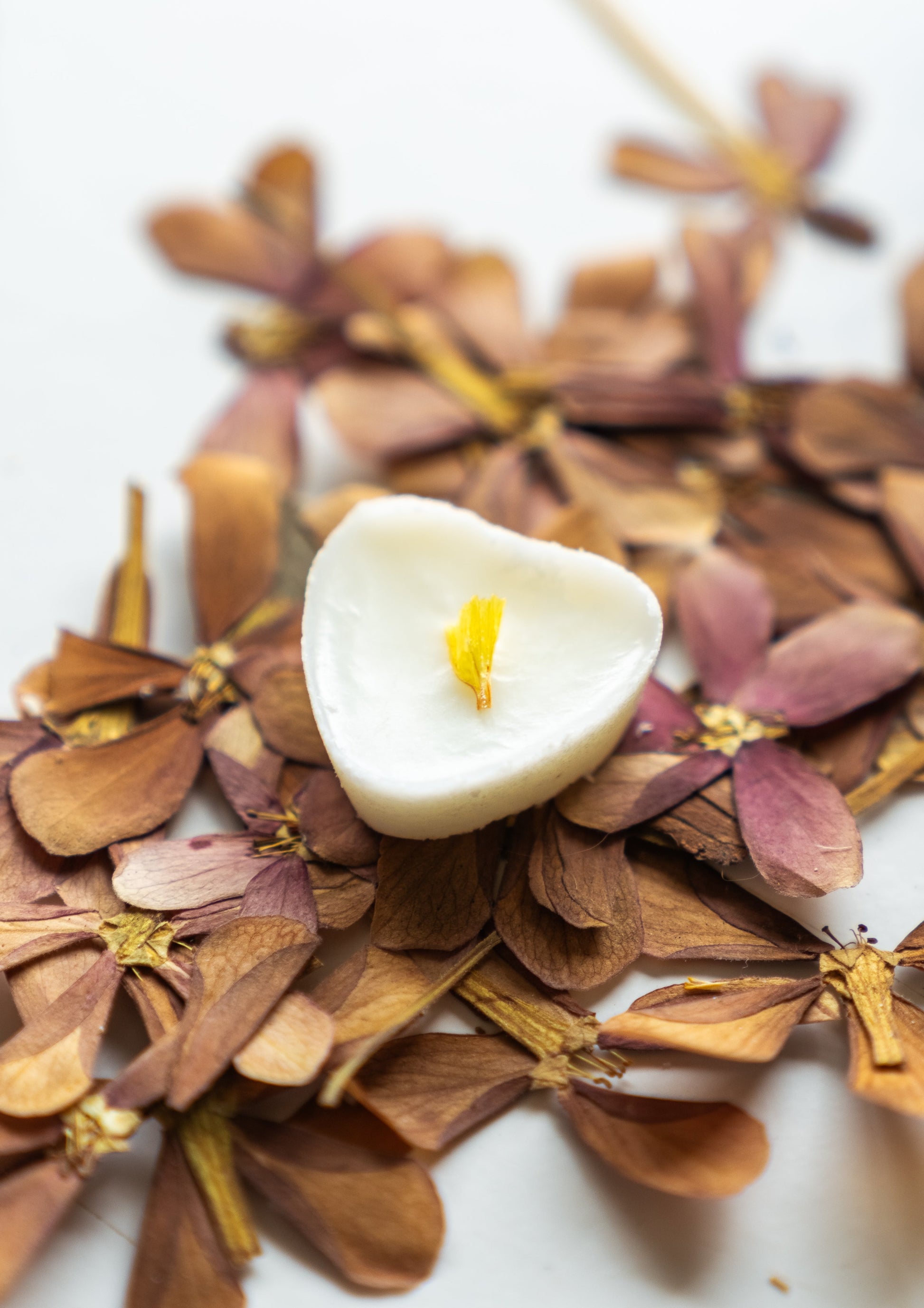 soy melts or wax tarts in late summer fragrance