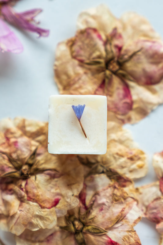 soy melts or wax tarts in Pure vanilla fragrance