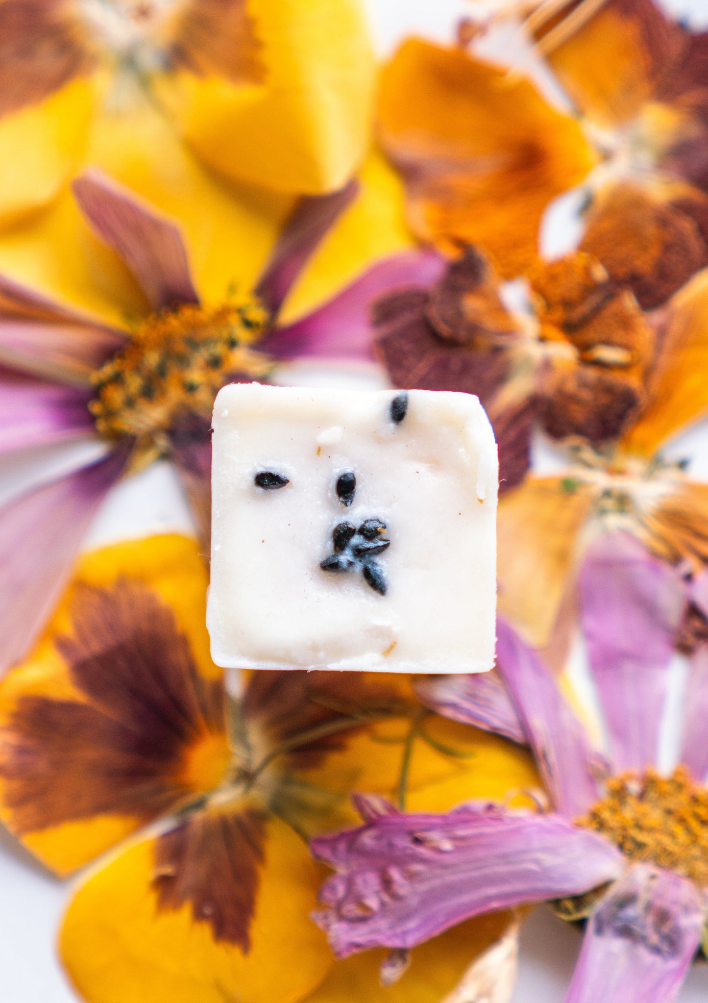 soy melt or wax tart in carmela fragrance